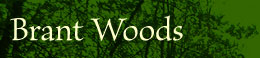 Brant Woods